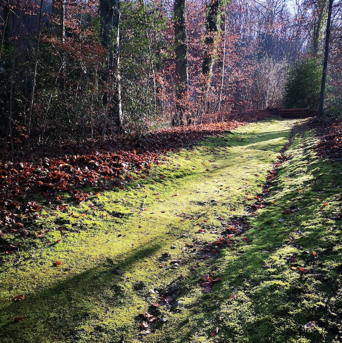weg low 2