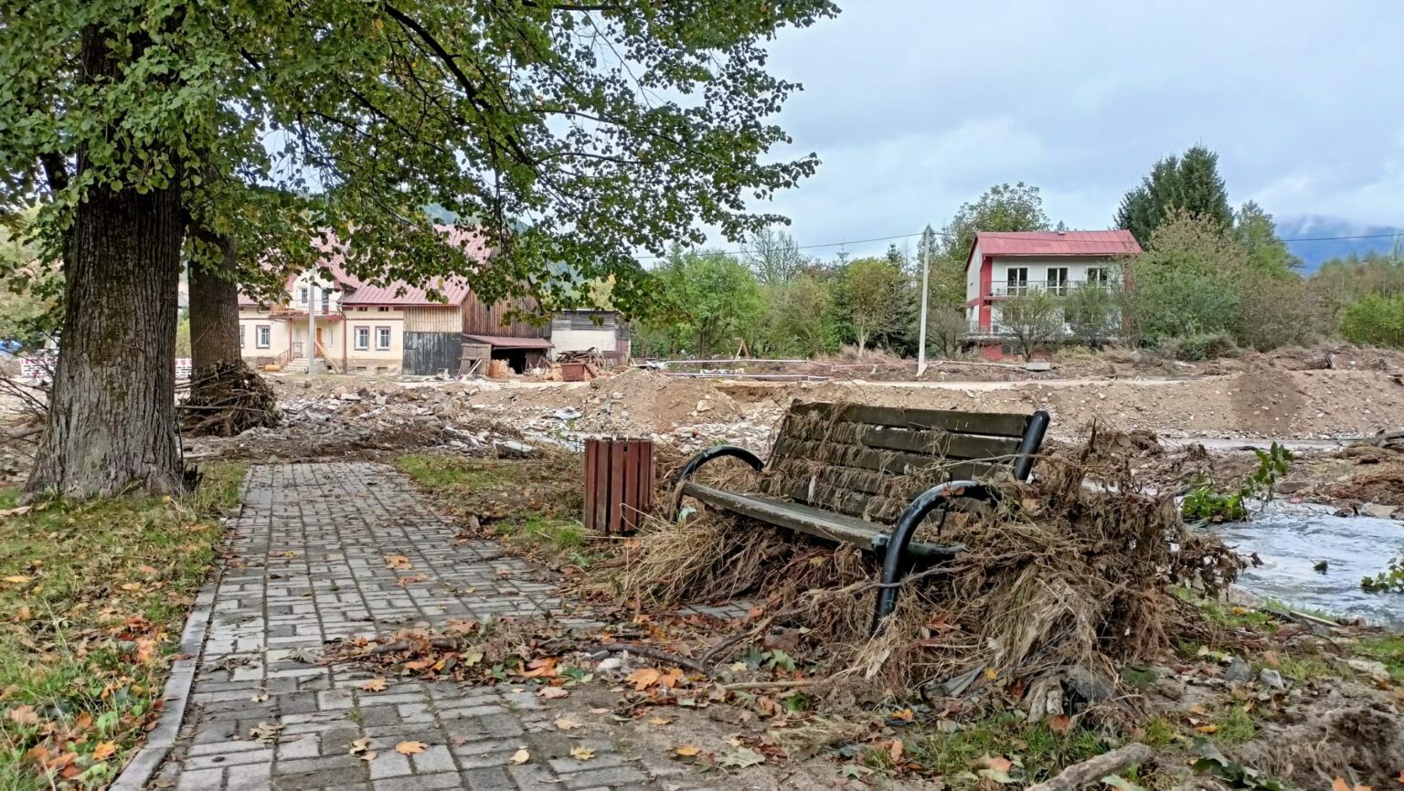 zdjęcie whatsapp 2025 11 26 o 21.35.20 076ba4cc